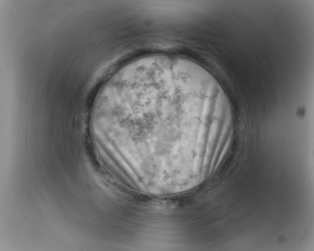 X0000112890736200909181912