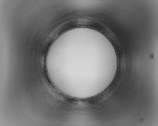 X0000112890737200909181912