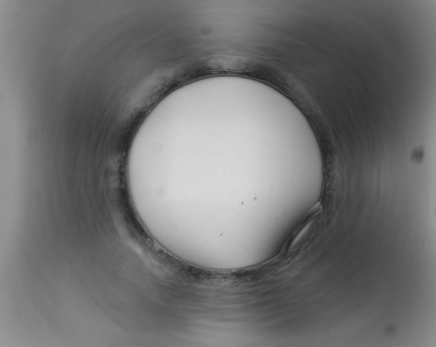 X0000112890738200909181912