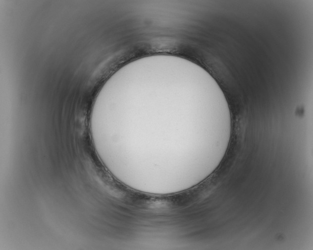 X0000112890741200909181912