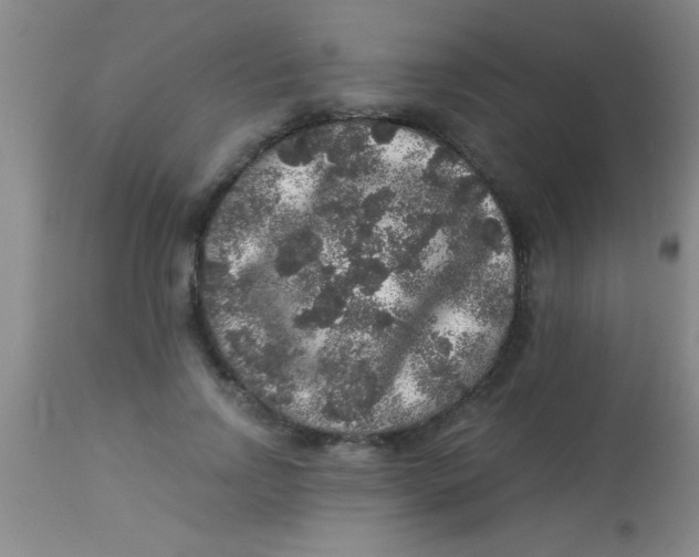 X0000112890742200909181912