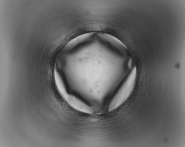 X0000112890743200909181912