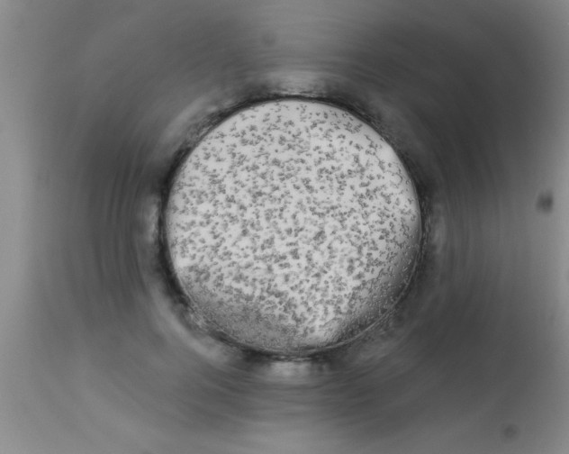 X0000112890744200909181912