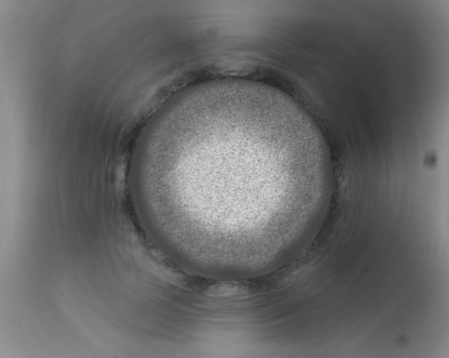 X0000112890745200909181912