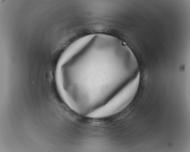 X0000112890746200909181912