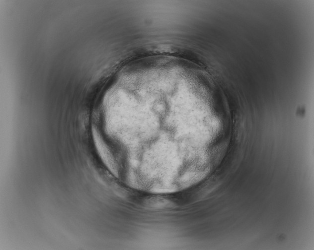 X0000112890747200909181912