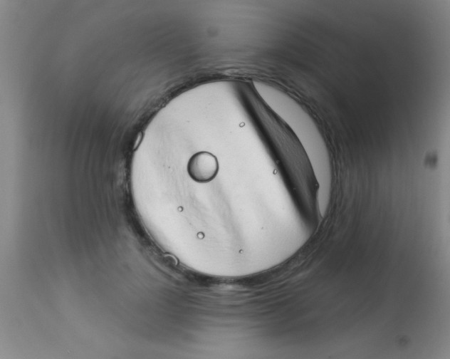 X0000112890748200909181912