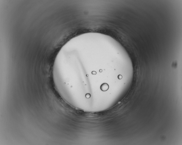 X0000112890750200909181912