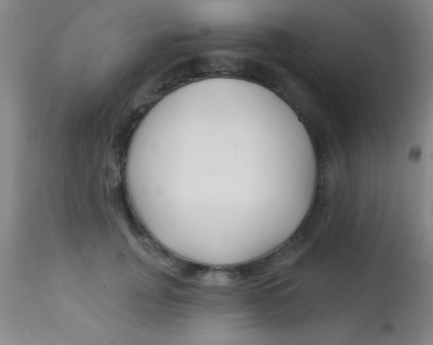 X0000112890751200909181912