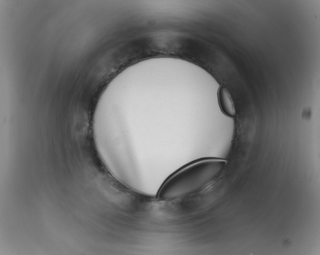 X0000112890752200909181912