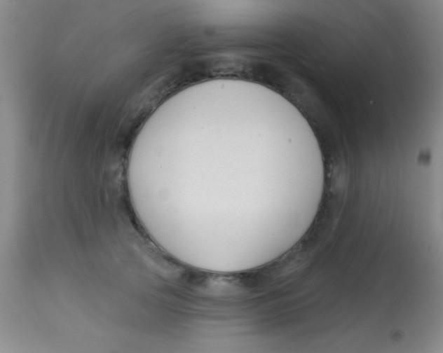 X0000112890753200909181912