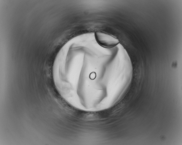 X0000112890755200909181912