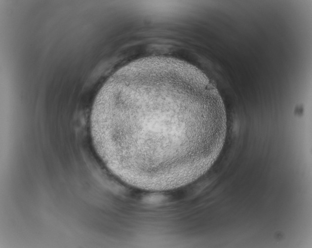 X0000112890759200909181912