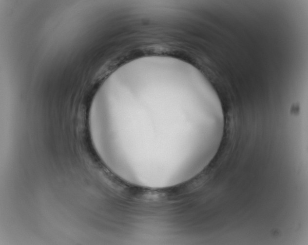 X0000112890760200909181912