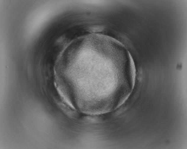 X0000112890763200909181912