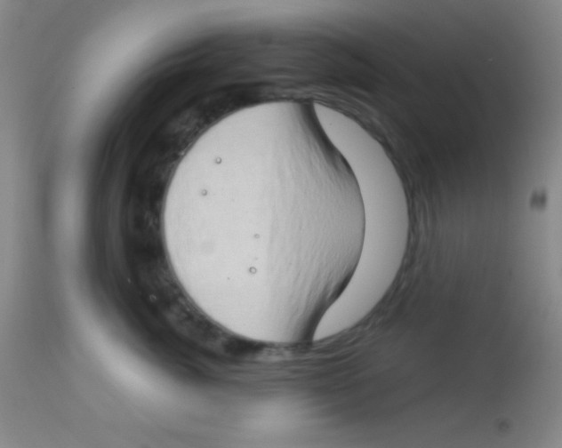 X0000112890764200909181912