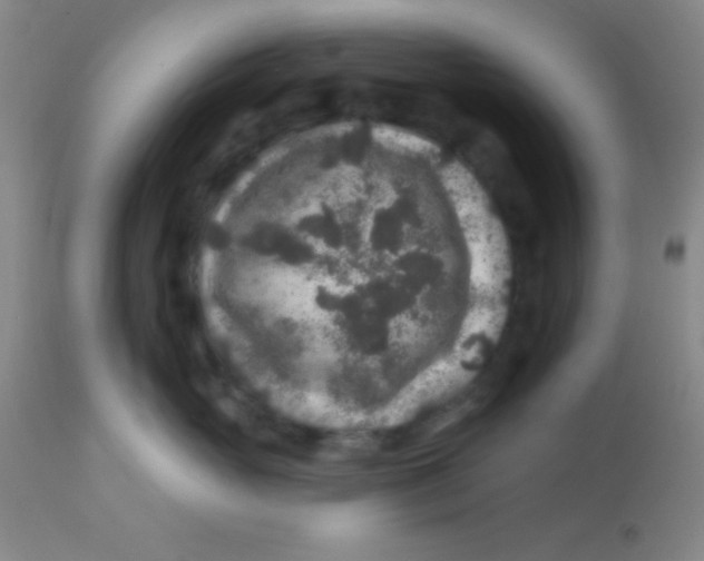 X0000112890765200909181912