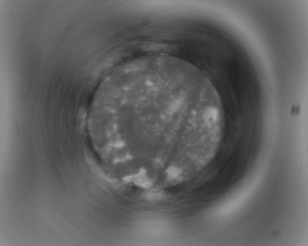 X0000112890767200909181912