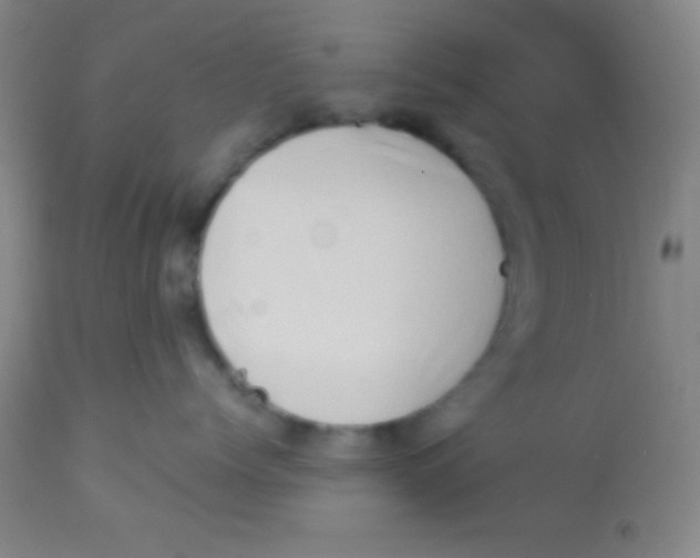 X0000112890768200909181912