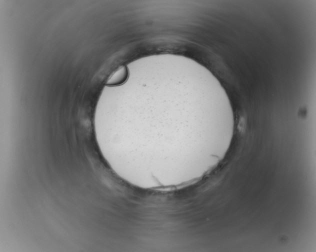 X0000112890771200909181911