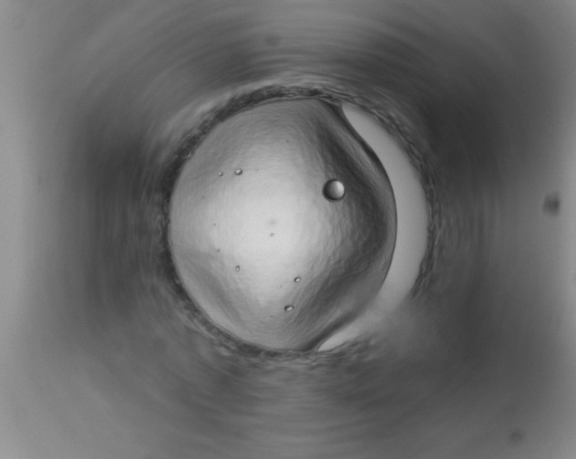 X0000112890773200909181911