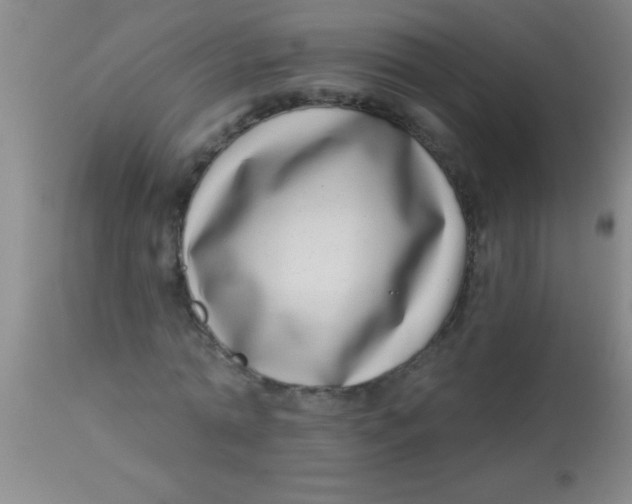 X0000112890774200909181911