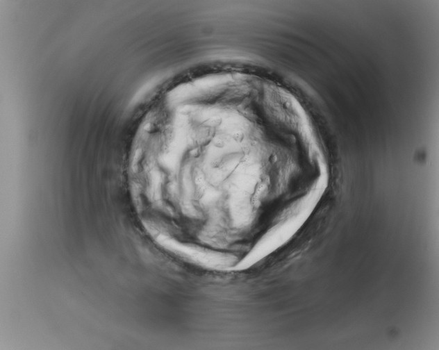 X0000112890775200909181911