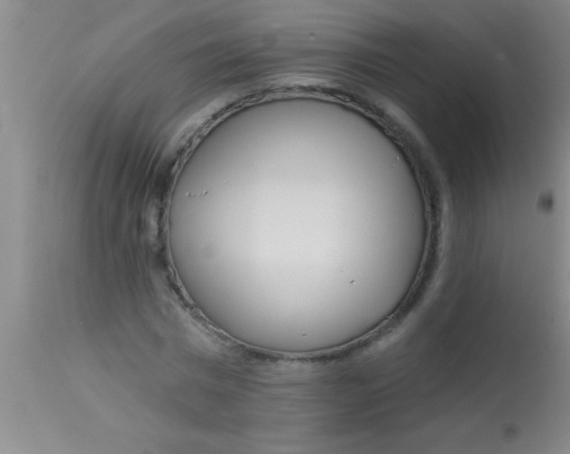 X0000112890777200909181911