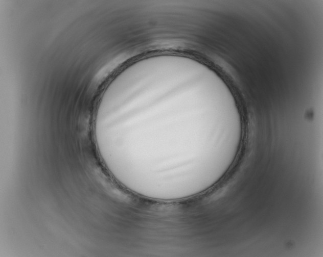 X0000112890778200909181911