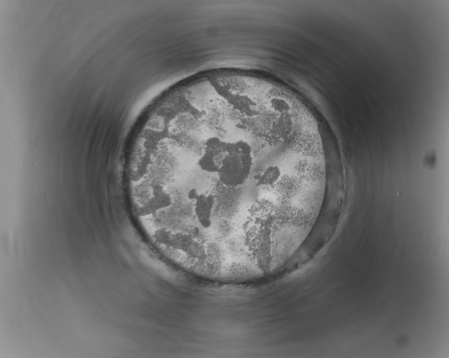 X0000112890779200909181911