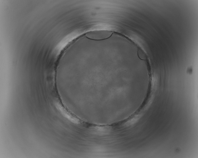 X0000112890781200909181911