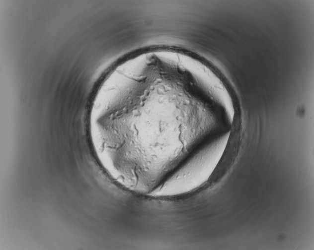 X0000112890783200909181911