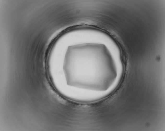 X0000112890784200909181911