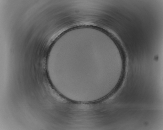 X0000112890785200909181911