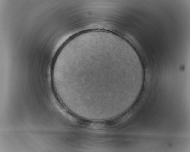 X0000112890788200909181911