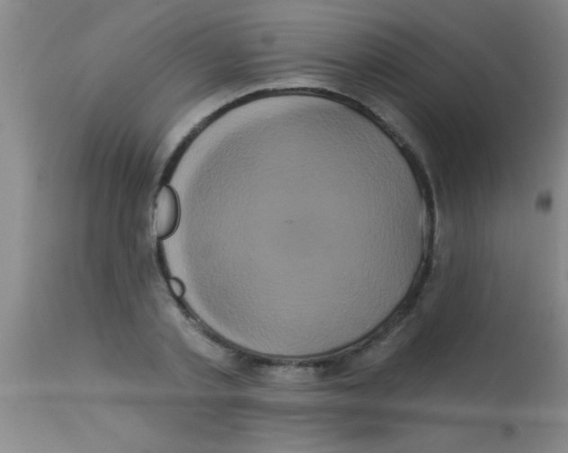 X0000112890789200909181911