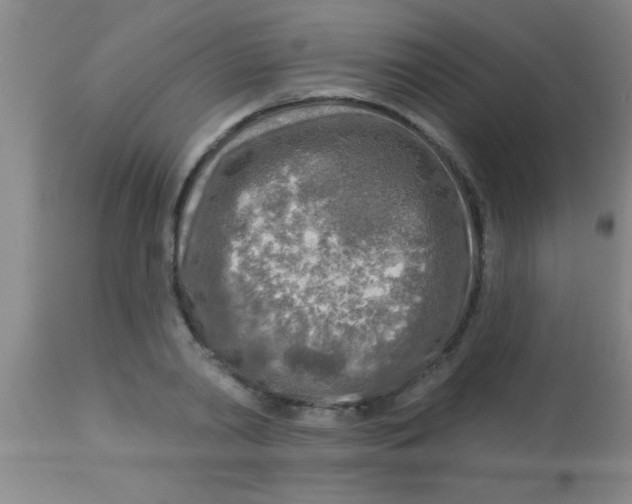 X0000112890790200909181911