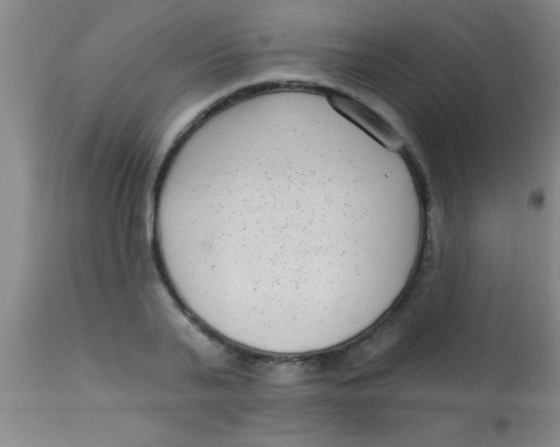 X0000112890791200909181911