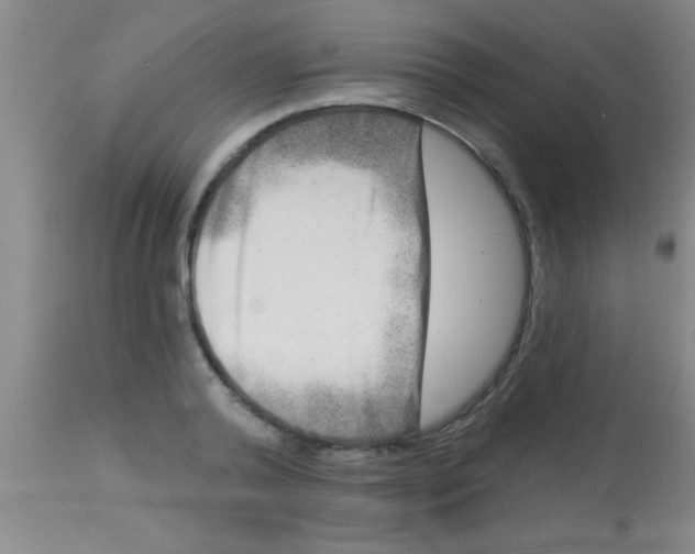 X0000112890792200909181911