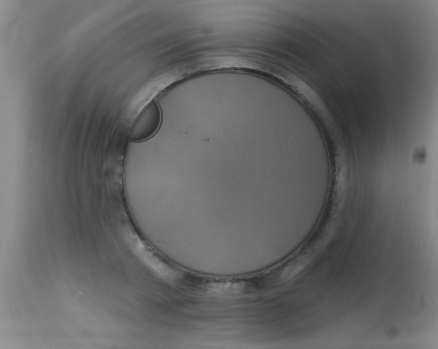 X0000112890793200909181911