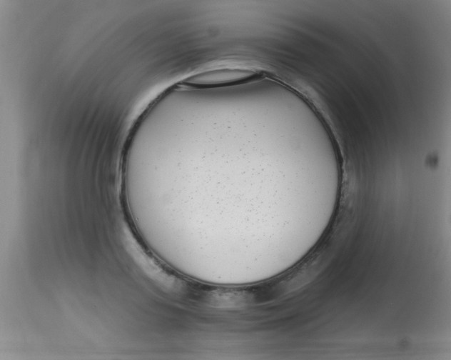 X0000112890795200909181911