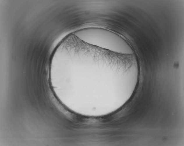 X0000112890796200909181911