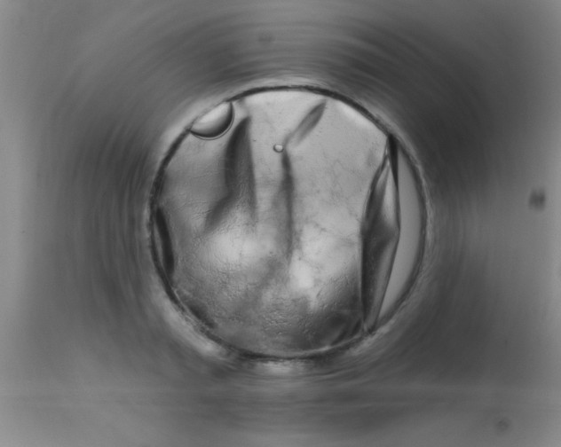 X0000112890797200909181911