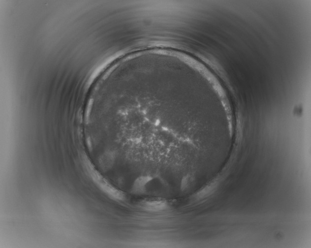 X0000112890798200909181911