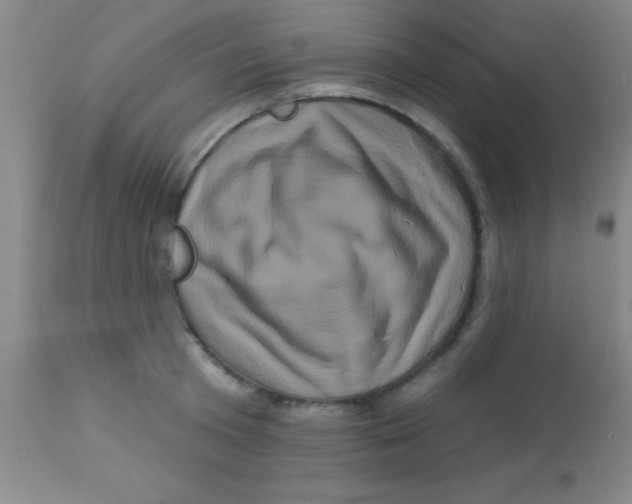 X0000112890801200909181911