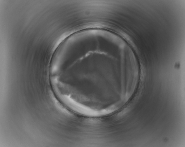 X0000112890802200909181911