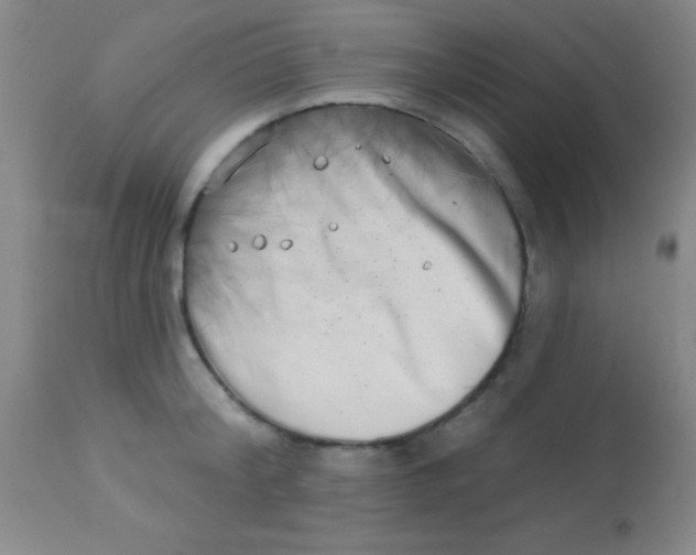 X0000112890804200909181911
