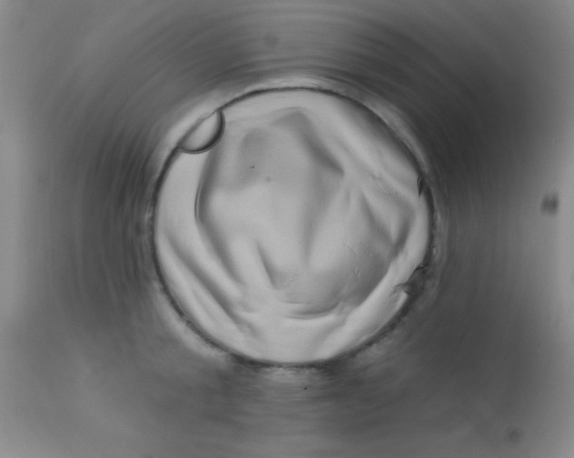 X0000112890805200909181911