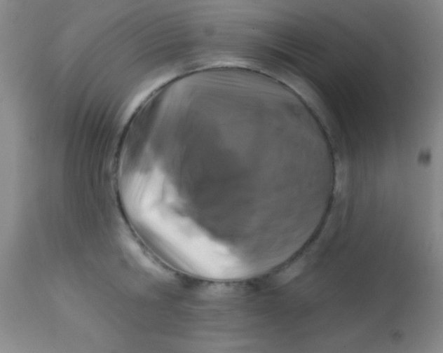 X0000112890806200909181911