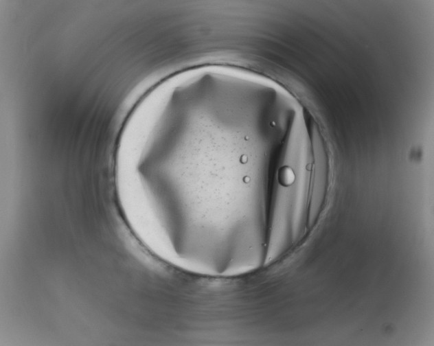 X0000112890808200909181911